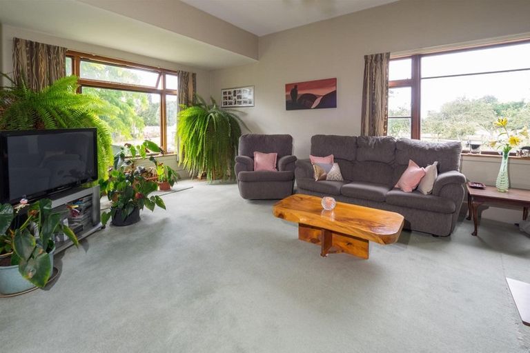 Photo of property in 261 Rakaia Barrhill Methven Road, Rakaia, 7784