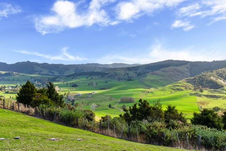 Photo of property in 1612a Pakiri Road, Tomarata, Wellsford, 0972