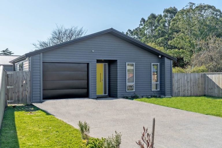 Photo of property in 54a Costley Street, Carterton, 5713