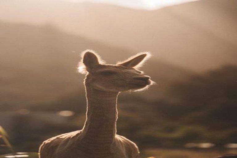 Photo of property in 272 Uruwhenua Road, Upper Takaka, Takaka, 7183