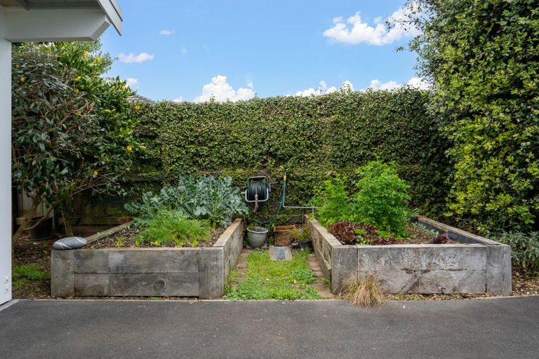 Photo of property in 11 Weld Street, Cambridge, 3434