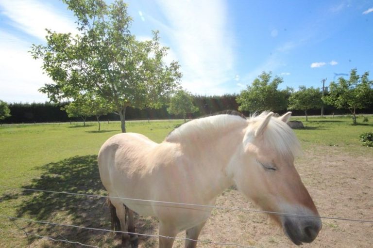 Photo of property in 279 School Road, West Eyreton, Rangiora, 7475