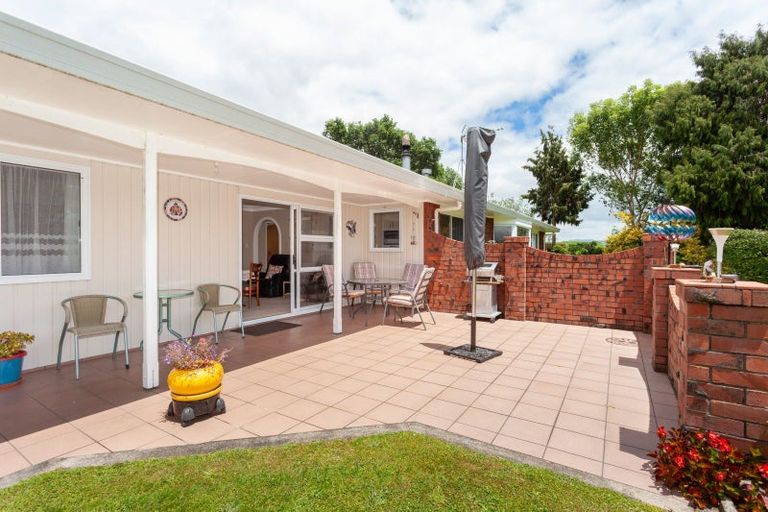 Photo of property in 113 Domain Road, Putaruru, 3482