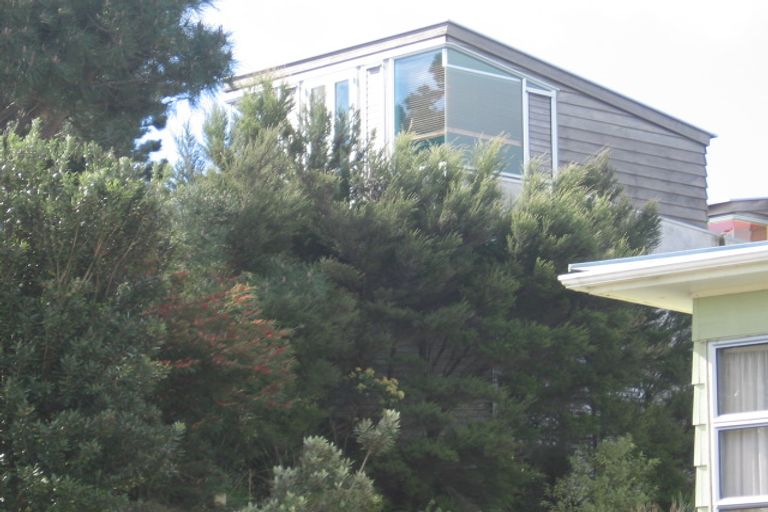 Photo of property in 324 Molesworth Drive, Mangawhai Heads, Mangawhai, 0505