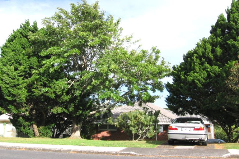 Photo of property in 41 Alton Avenue, Hillcrest, Auckland, 0627