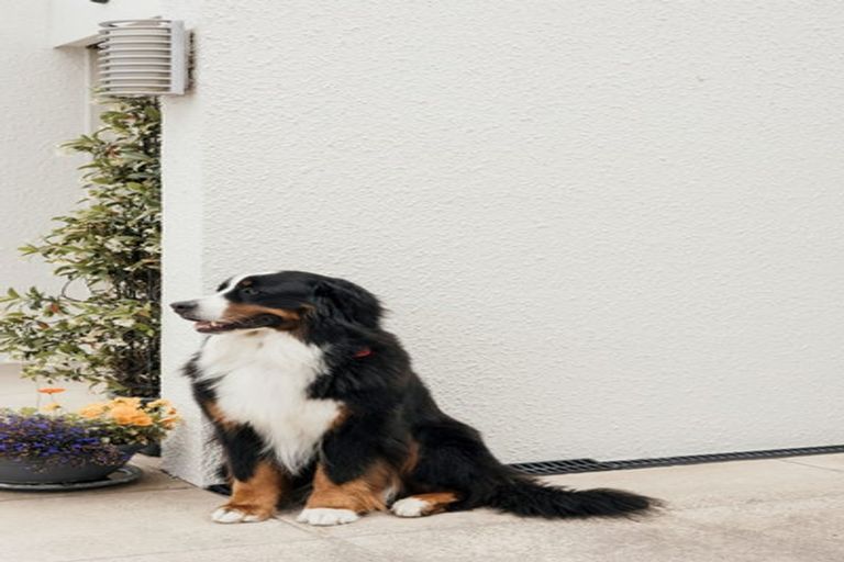 Photo of property in 2/71c Middleton Road, Upper Riccarton, Christchurch, 8041