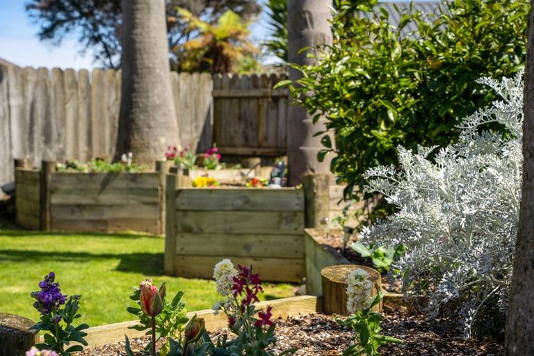 Photo of property in 16 O'sullivan Place, Waiuku, 2123