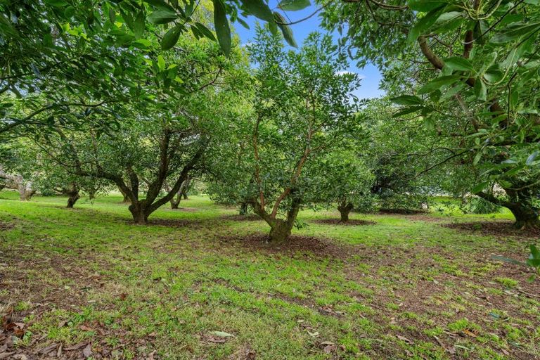 Photo of property in 496 Waitao Road, Waitao, Tauranga, 3175