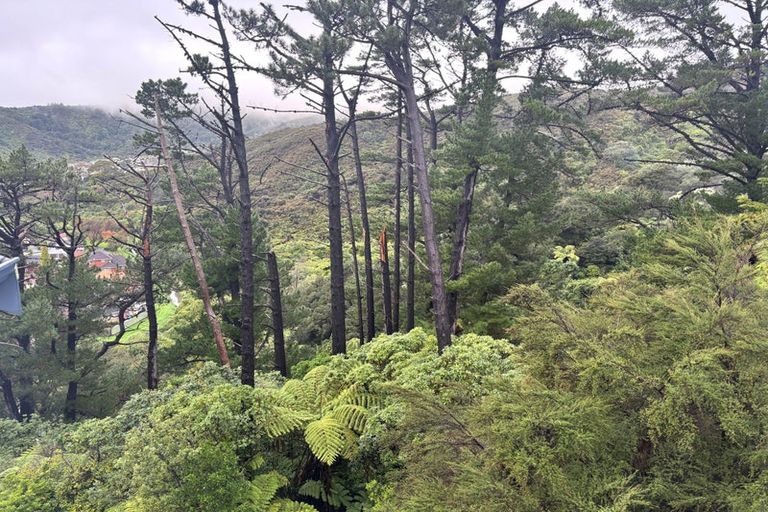 Photo of property in 31 Summit Road, Fairfield, Lower Hutt, 5011