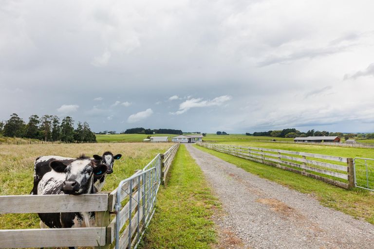 Photo of property in 218 Taipo Road, Rongotea, Palmerston North, 4476