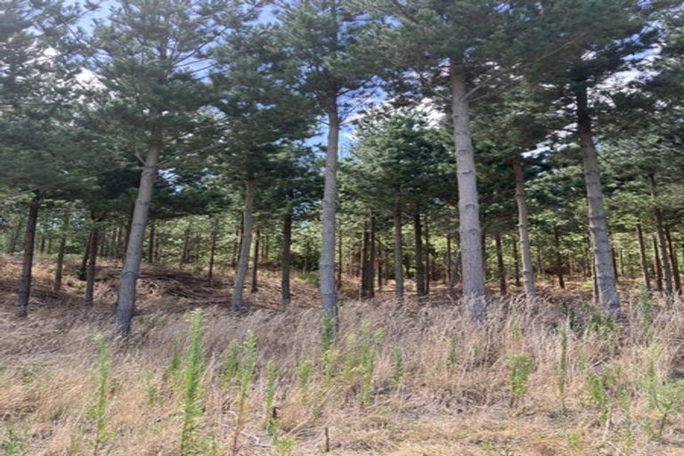 Photo of property in 1387 Santoft Road, Santoft, Bulls, 4894