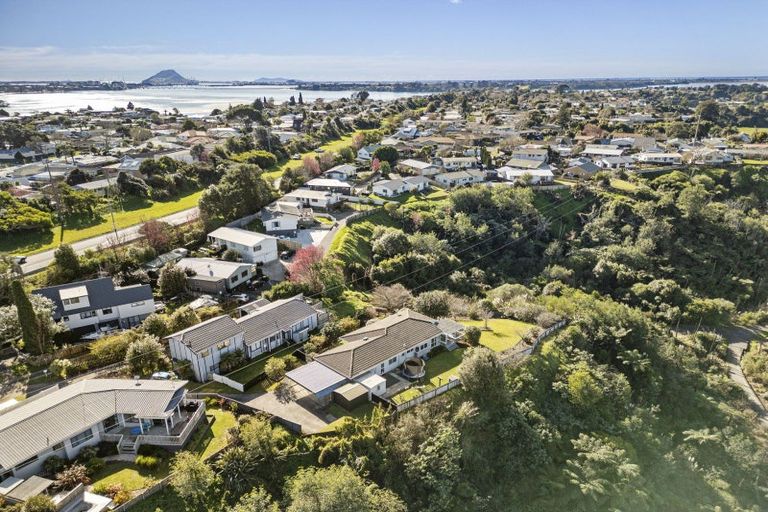 Photo of property in 80 Hammond Street, Hairini, Tauranga, 3112