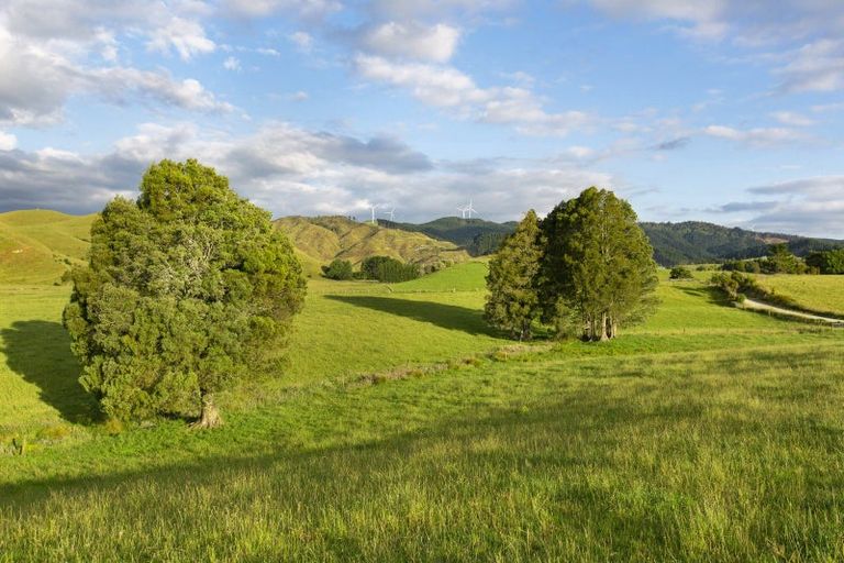 Photo of property in 9a Pond Road, Raglan, 3295