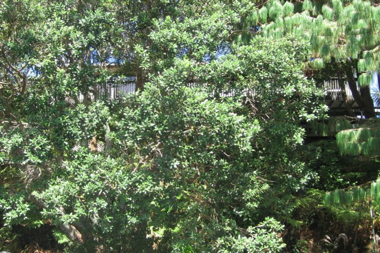 Photo of property in 1/10 Bryers Place, Bayview, Auckland, 0629