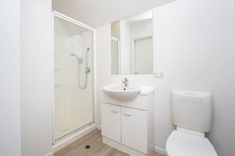 Photo of property in 221b Peachgrove Road, Claudelands, Hamilton, 3214