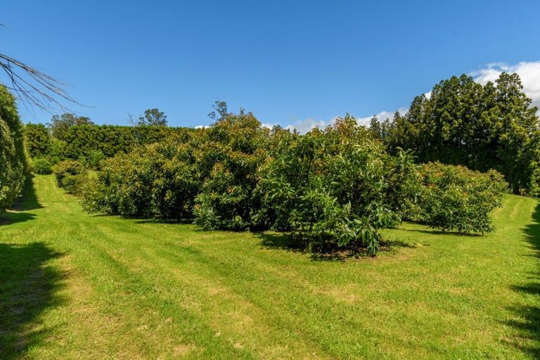 Photo of property in 44 Walker Road West, Aongatete, Katikati, 3178