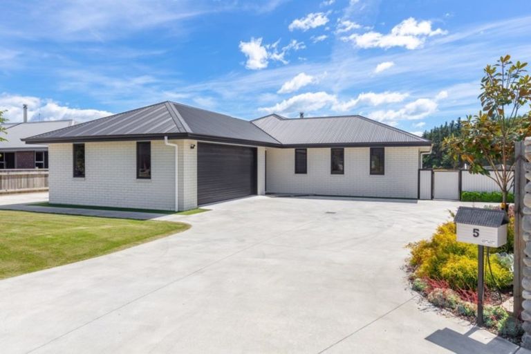 Photo of property in 5 Grigg Drive, Witherlea, Blenheim, 7201