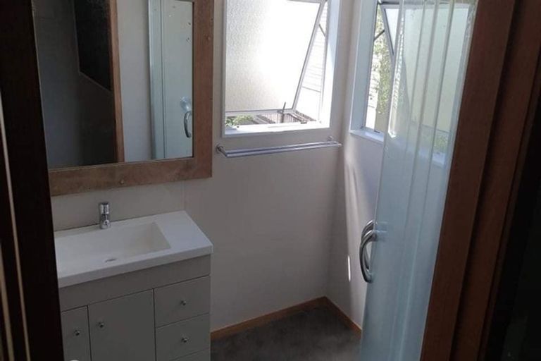 Photo of property in 35a Hinau Street, Maeroa, Hamilton, 3200