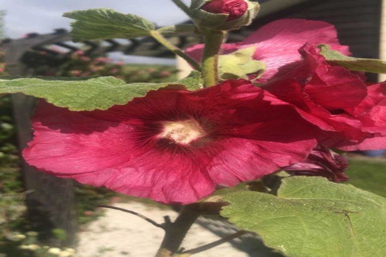 Photo of property in 2 Te Ara Karoiroa Road, Hurford, New Plymouth, 4374