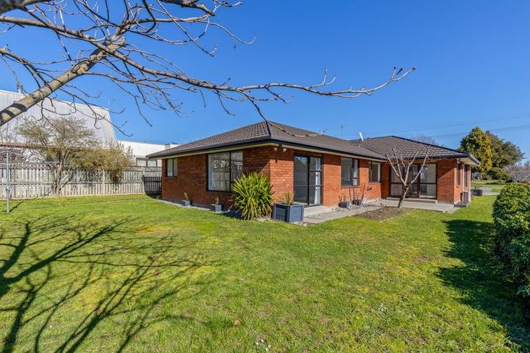 Photo of property in 223 Redwood Street, Witherlea, Blenheim, 7201