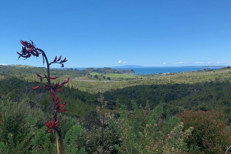 Photo of property in 238 Hillcrest Road, Wainui, 0931