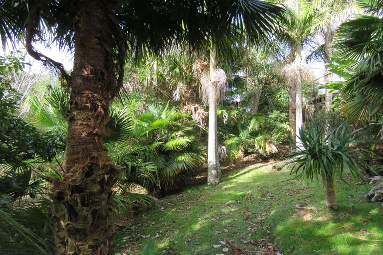 Photo of property in 44 Puriri Block Road, Kaingaroa, Kaitaia, 0482