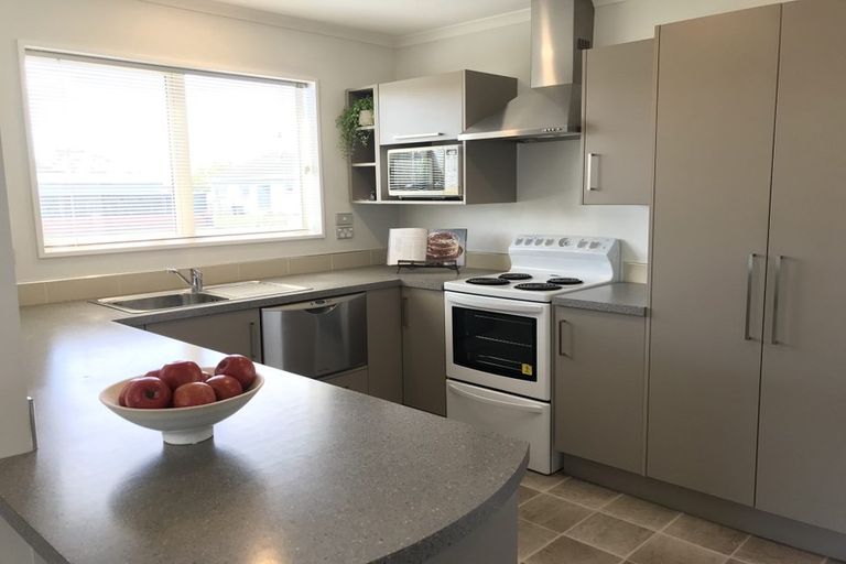 Photo of property in 20a Richill Street, Belfast, Christchurch, 8051