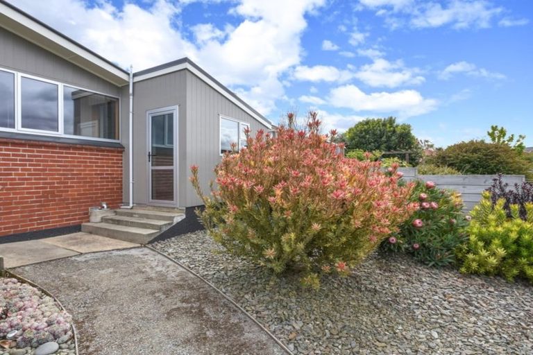 Photo of property in 113 Mornington Road, Kenmure, Dunedin, 9011