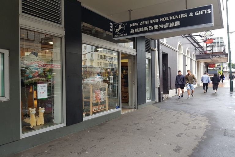 Photo of property in Bellagio Apartments, 39 Taranaki Street, Te Aro, Wellington, 6011