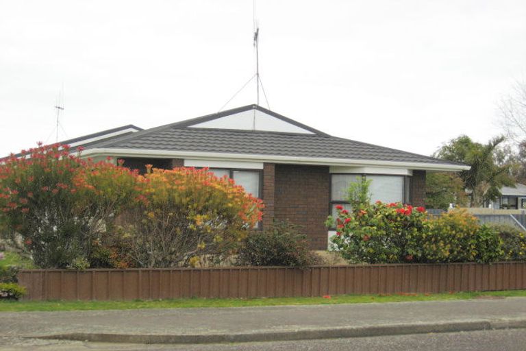 Photo of property in 17 Douglas Street, Levin, 5510
