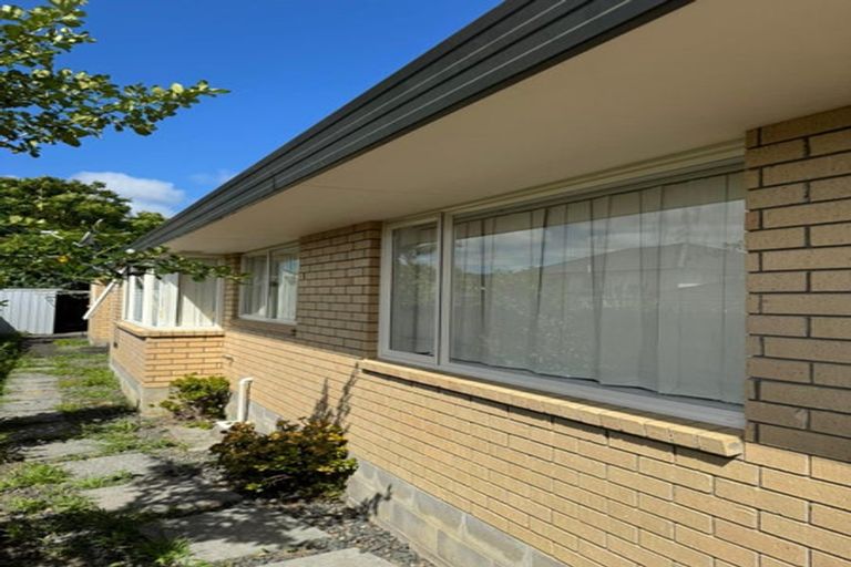 Photo of property in 124 Charles Prevost Drive, The Gardens, Auckland, 2105