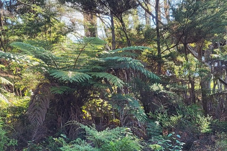 Photo of property in 10 Wilson Avenue, Kawau Island, 0920