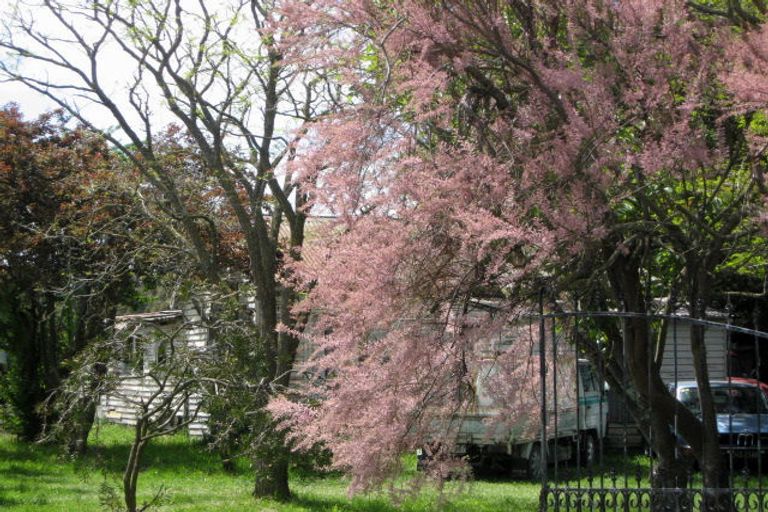 Photo of property in 350 Tuahiwi Road, Tuahiwi, Kaiapoi, 7691