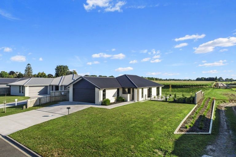 Photo of property in 7 Archford Street, Matamata, 3400