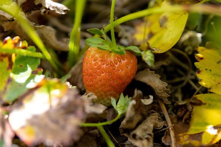 Photo of property in Waterview Estate, 30/4 Greystone Place, Omokoroa, 3114