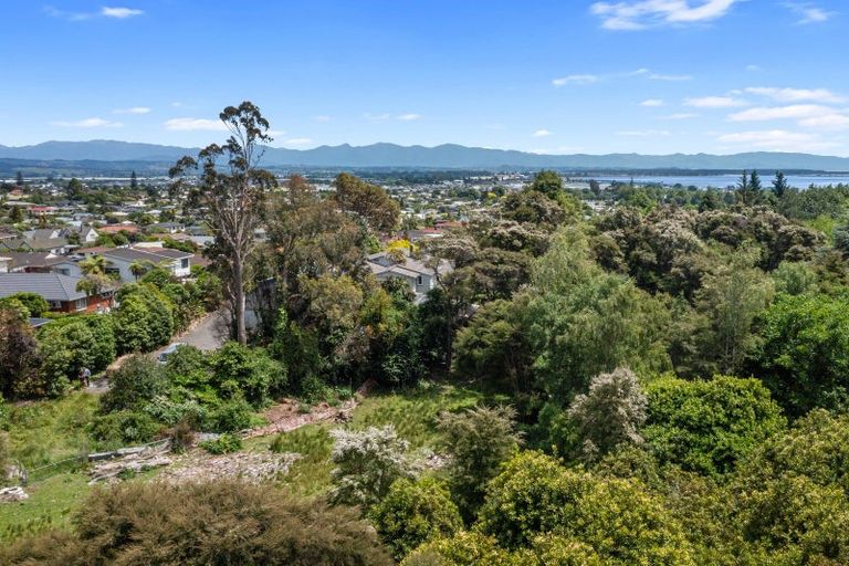 Photo of property in 51 Selbourne Avenue, Richmond, 7020