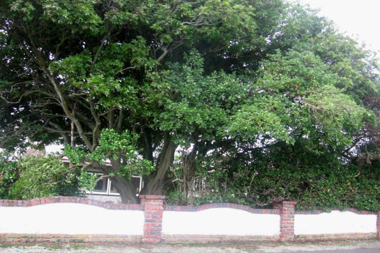 Photo of property in 39 Kingswood Street, Takaro, Palmerston North, 4412