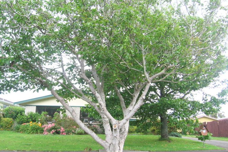 Photo of property in 42 Paterson Avenue West, Pukekohe, 2120