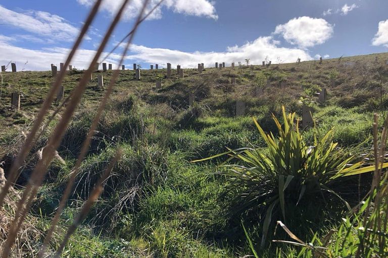 Photo of property in 147 Akatore Road, Taieri Beach, Taieri Mouth, 9091