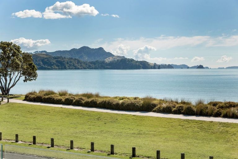 Photo of property in 38 Buffalo Beach Road, Whitianga, 3510
