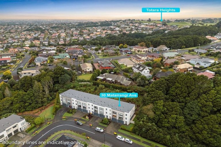 Photo of property in 30 Matairangi Avenue, Totara Heights, Auckland, 2105