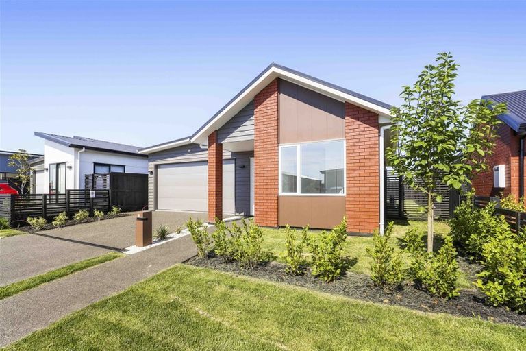 Photo of property in 19 Gosset Avenue, Chartwell, Hamilton, 3210