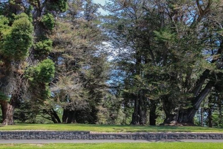 Photo of property in 13/19 Ruakiwi Road, Hamilton Lake, Hamilton, 3204