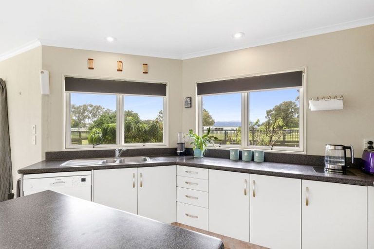 Photo of property in 60 Banks Road, Matamata, 3473