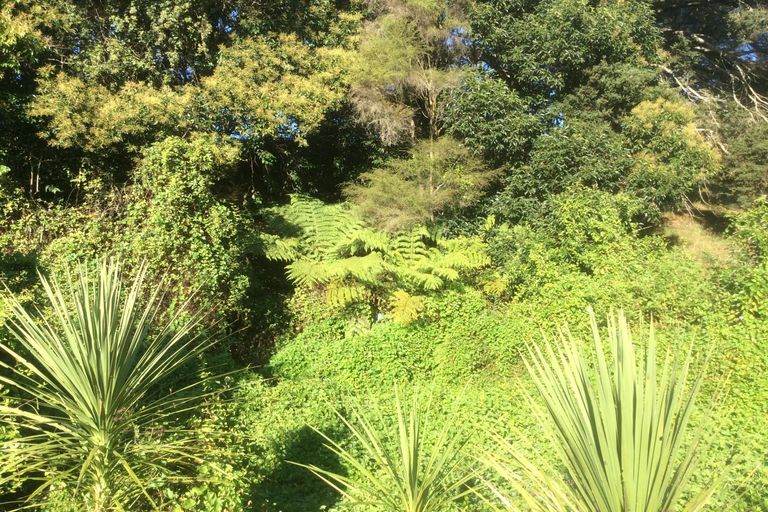Photo of property in 88 Caie Road, Mangatawhiri, 2471