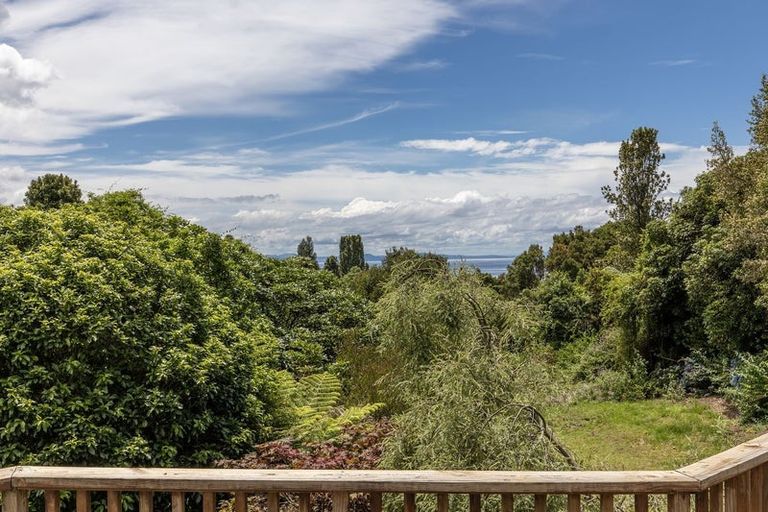 Photo of property in 67 Hauraki Terrace, Pukawa Bay, Turangi, 3381
