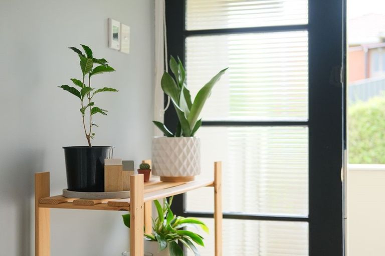 Photo of property in 45 North Taieri Road, Abbotsford, Dunedin, 9018