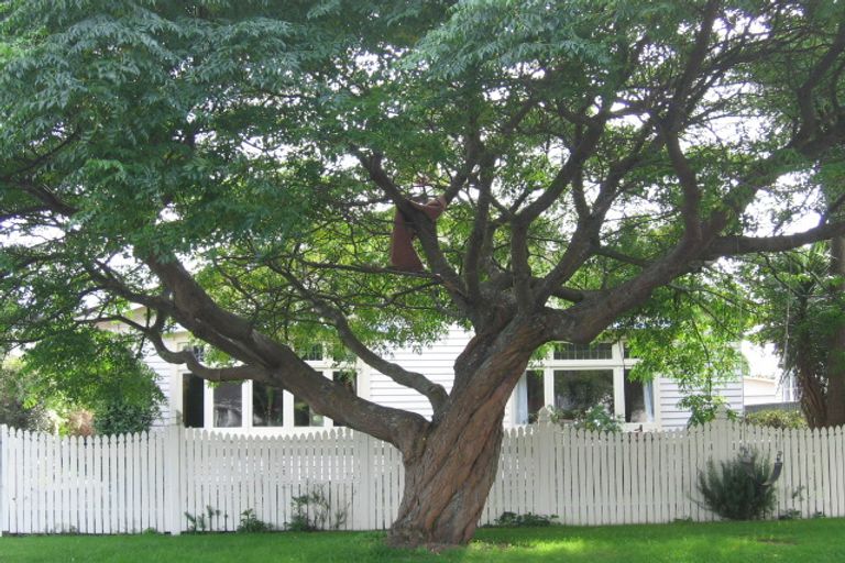 Photo of property in 35 Lincoln Avenue, Epuni, Lower Hutt, 5011