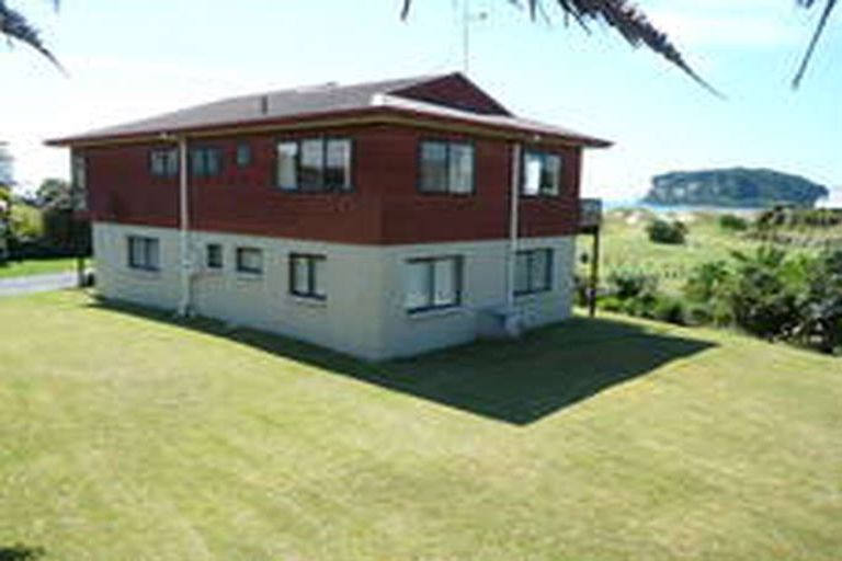 Photo of property in 113 Saint Patricks Row, Whangamata, 3620