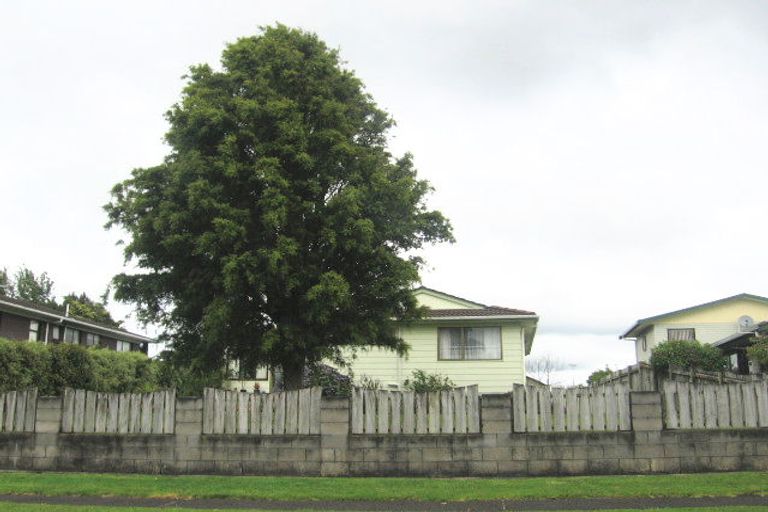 Photo of property in 40 Paterson Avenue West, Pukekohe, 2120